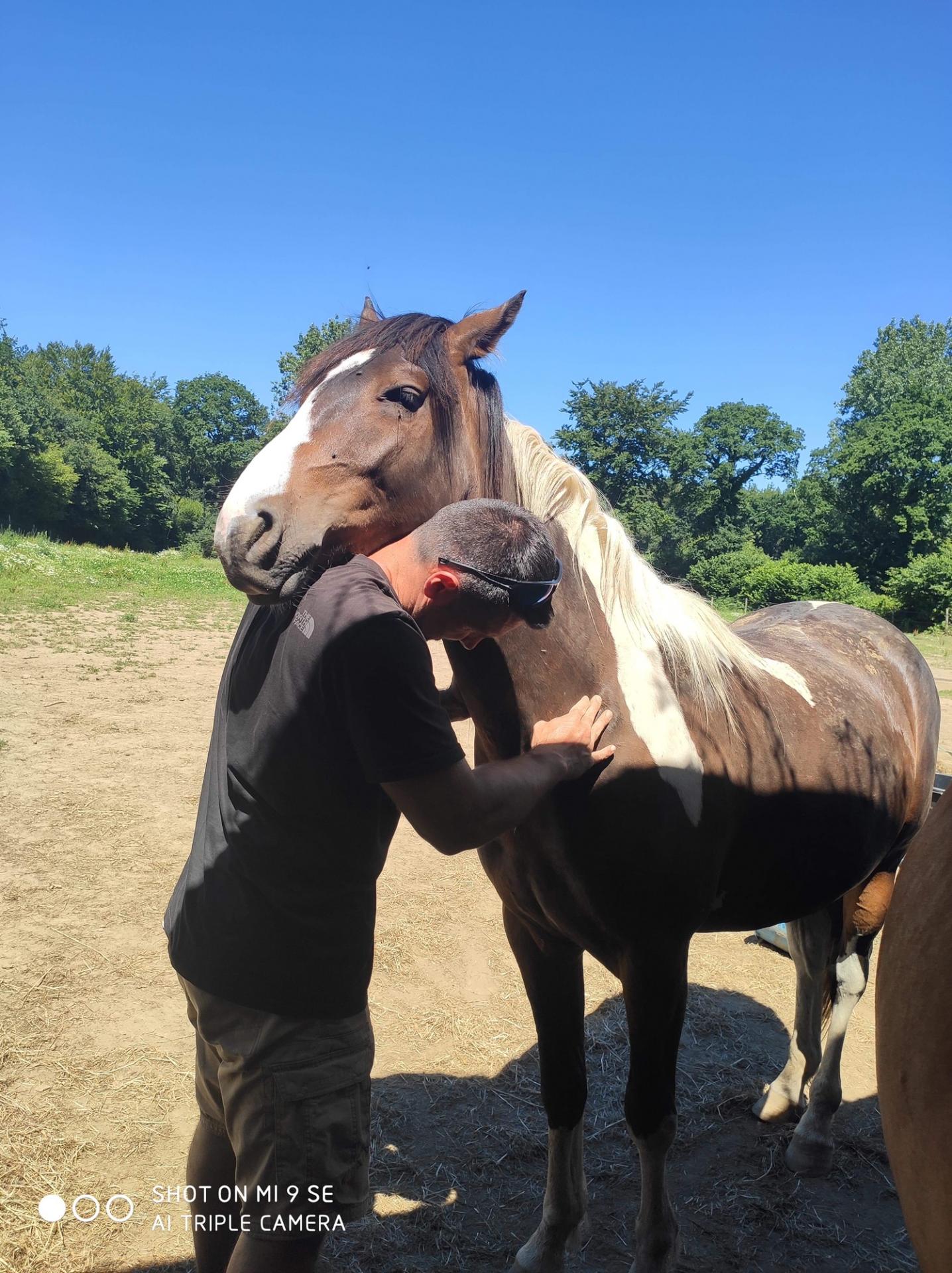 Osteopathe equin bretagne